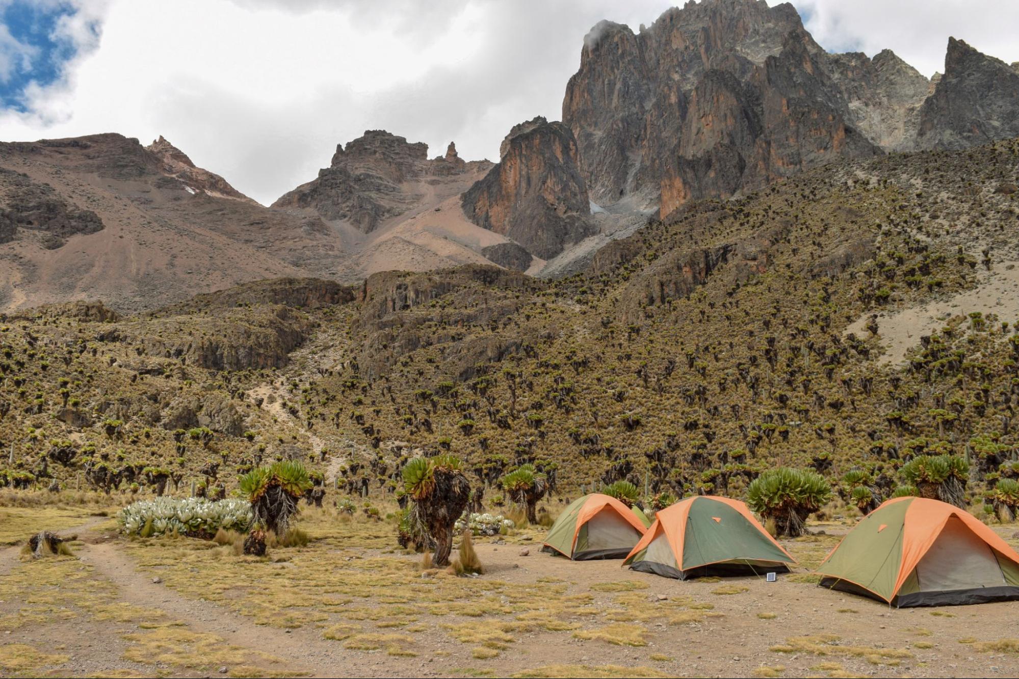 Camping in Mt. Kenya National Park