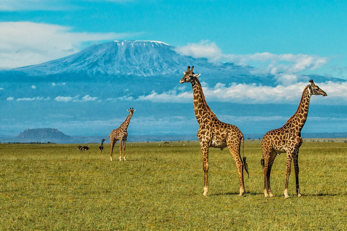 Chyulu Hills National Park, Kenya