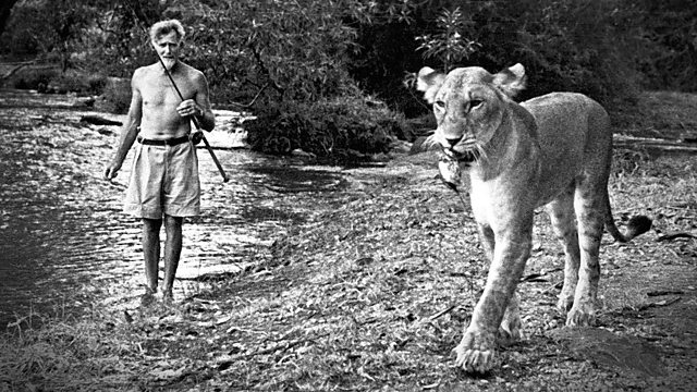 Elsa the Lioness and George Adamson (Right to Left)