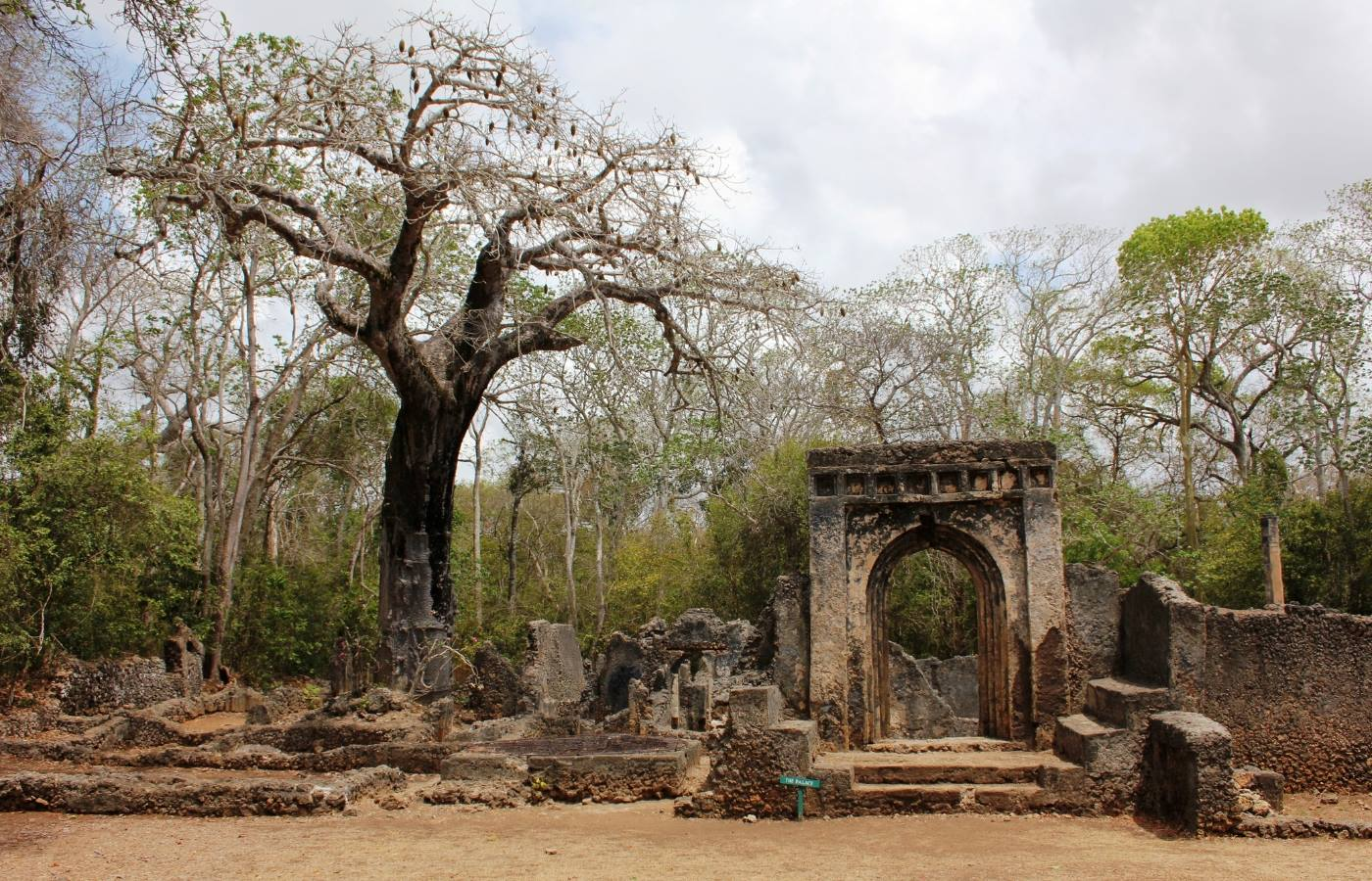 Gedi Ruins, Arabuko Sokoke National Park