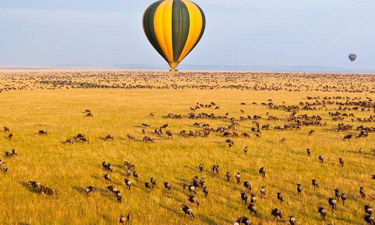 Hot Air Balloon Safari in Maasai Mara National Park