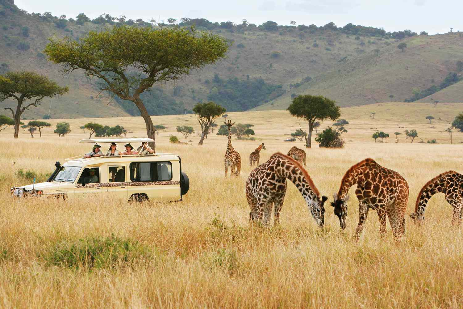 Negative effects of the eTA on the Kenyan Tourism Industry