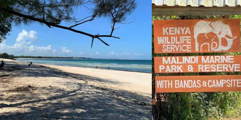 Malindi Marine National Park, Kenya