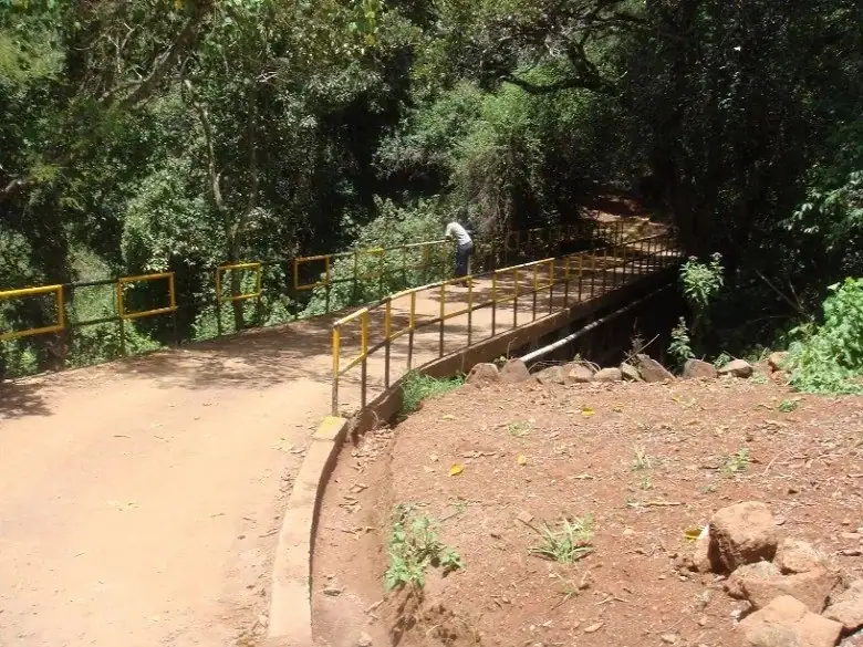 Oloola Nature Trail, Nairobi